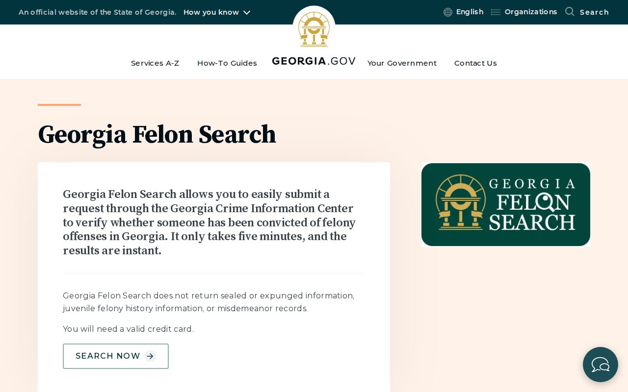 Official Georgia Felon Search scope and input guide